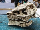 Godzilla Skull (Kaiju)