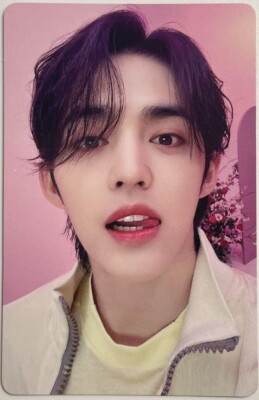 SEVENTEEN ALWAYS YOURS SELFIE PHOTO 16枚 SEVENTEEN - JAPAN BEST ALBUM [ ALWAYS YOURS ] SELFIE PHOTO
