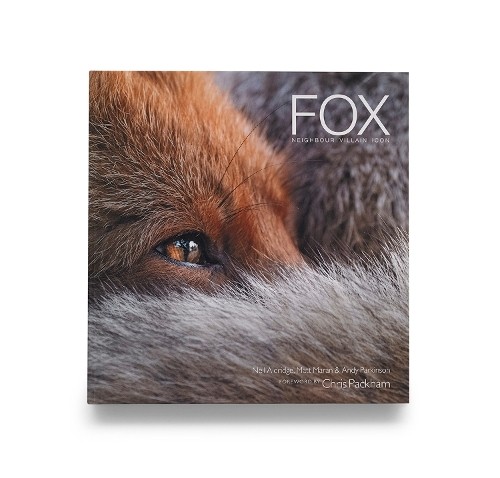Fox Fox: Neighbour Villain Icon by Neil AldridgeMatt MaranAn (HB 2022) - Image 8