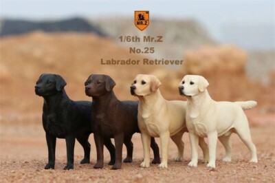 Mr.Z 1/6 Labrador Retriever Loyal Dog Pet Figure Animal Decor