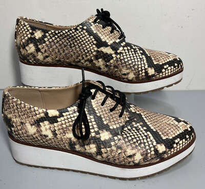 Aldo Lovirede Snake  Print Women's Oxfords Flatform  Shoes Size US 10 EUC