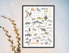 18x24 Wildlife of the Chesapeake Bay poster - Val Kells Nature Prints