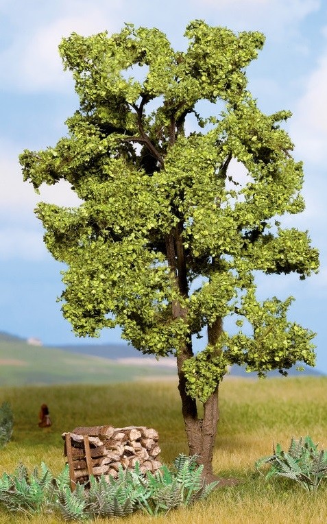 NOCH, Acacia 15cm, ,  NOC21660
