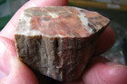 4PCS PETRIFIED WOOD WASHINGTON STATE USA #298 — photo 3