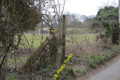 Foto 6x4 Fußweg vor Woodgate Lynsore unten c2016
