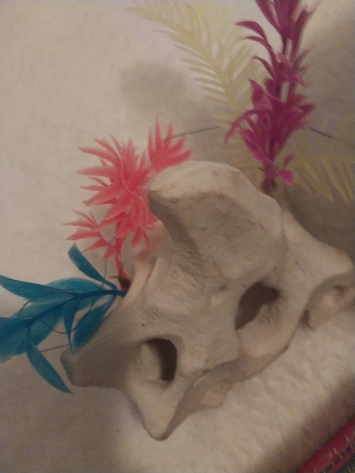 1 Gallon Corner View Aquarium Plus Set & GLO FISH Light - Image 4 of 4