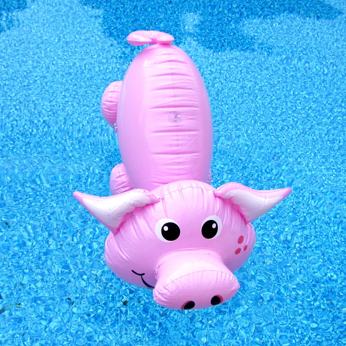 18" Inflatable Pig Swim Pool Water Float Blow Up Party Toy Farm Animal Floaties