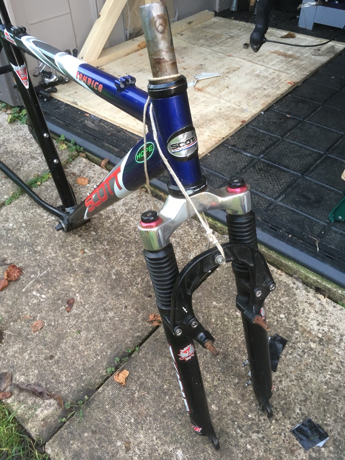 scott tampico mountain bike