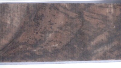 Französisches Nussbaum Messer Skala/S 1 Stück muss geschnitten werden siehe 4 Maße