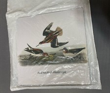 Red-Necked Phalarope by John James Audubon Mouse Pad 8" x 8"