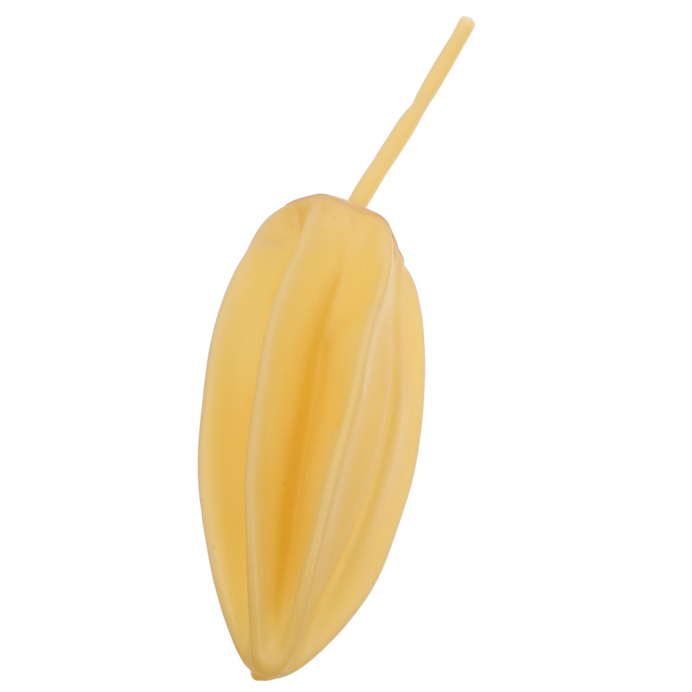 Zdjęcie 1 z 12