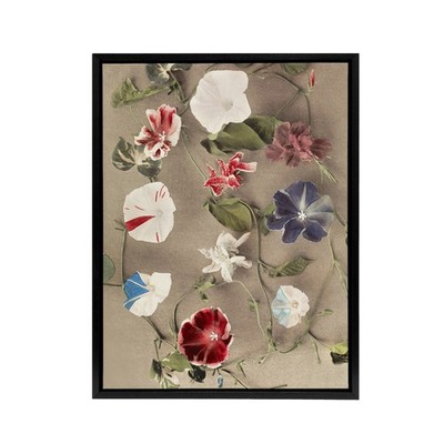 Group Of Morning Glories Framed Canvas Wall Art Print Ogawa Kazumasa