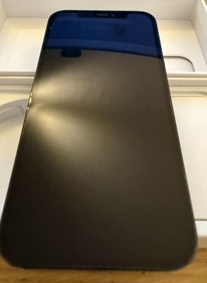 Apple iPhone 12 Pro - 256GB - Pazifikblau (ohne Simlock) (Dual-SIM)