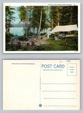 Lake Shore, ME-Maine, Camp Scene with Tent Trees Standard Vintage Postcard