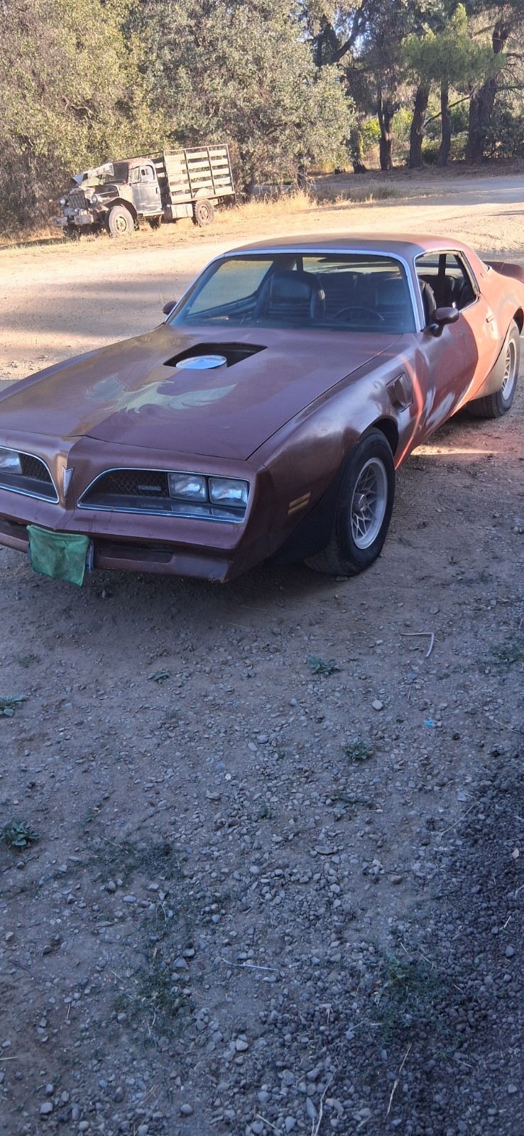 1978 Pontiac Trans Am for sale in Placerville California