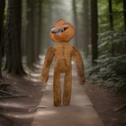 Poophead stuffy/ Cartoon cat — photo 1