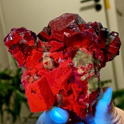 242G Natural black rose fluorescent cube fluorite specimen glow under UV light