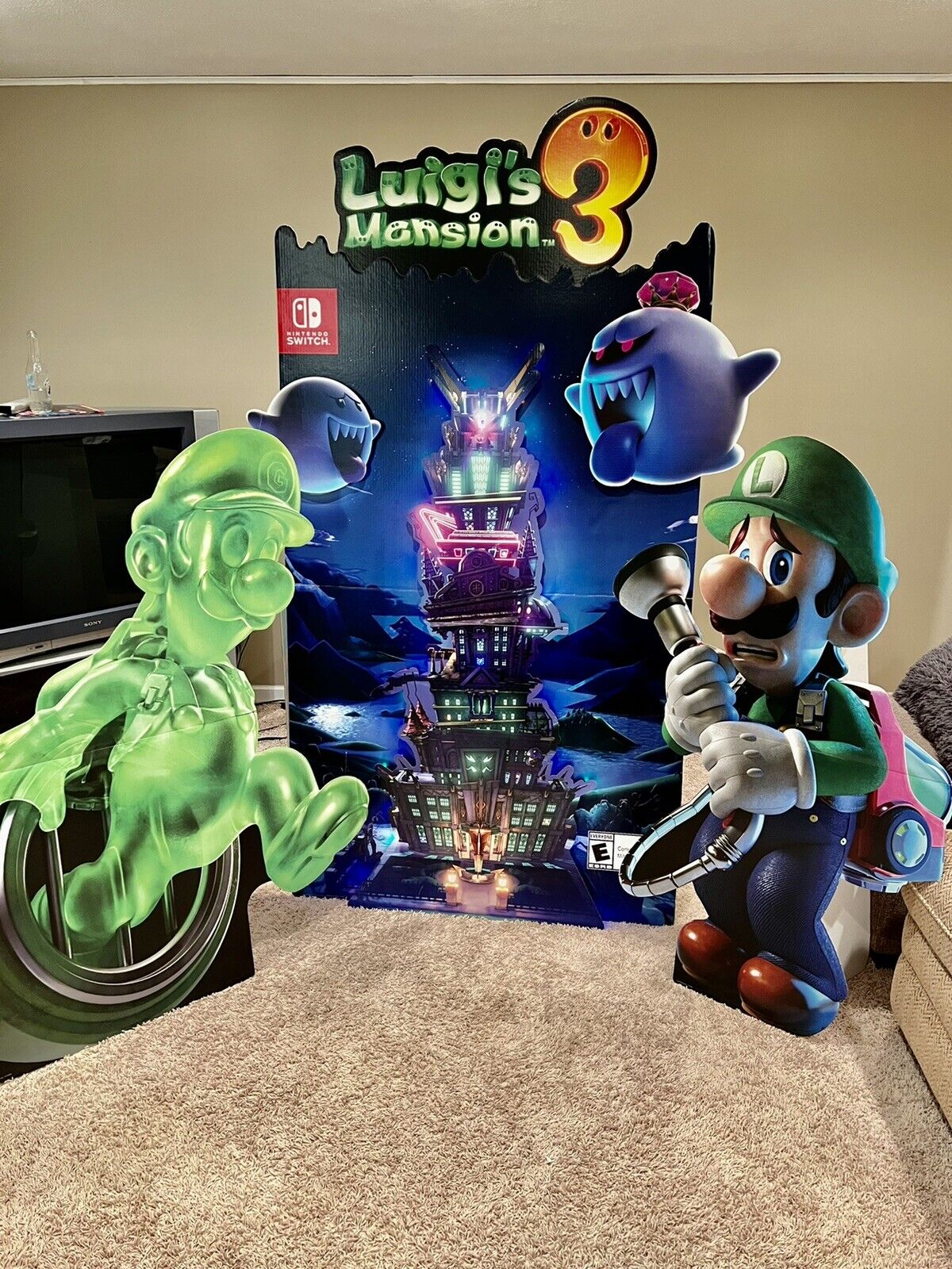 Nintendo Switch Luigi's Mansion 3 Standee, Luigi & Gooigi, Custom Light Job  | eBay