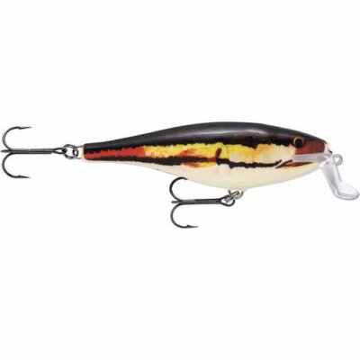 Rapala Super Shad Rap 14cm / 45g Baby Giant Snakehead Wobbler Hecht