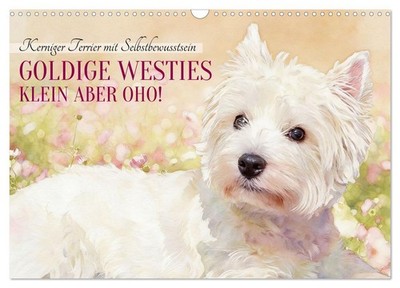 Goldige Westies - klein aber oho! (Wandkalender 2027 DIN A3 quer), CALVENDO Mona