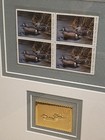 Foto 2 di 9