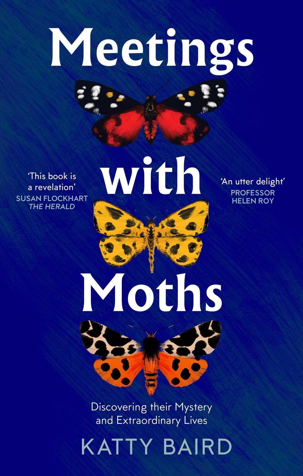 Meetings With Moths : Discovering Their Mystery And Extraordinary Lives Katty Baird - Image 6