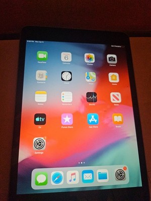 Apple iPad mini  (3rd Generation)