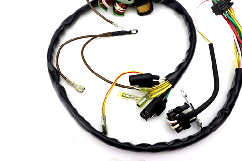Generador magnético estator adecuado para Polaris Magnum 425 2X4 4X4 6X6 1995-1999 - Imagen 2 de 3