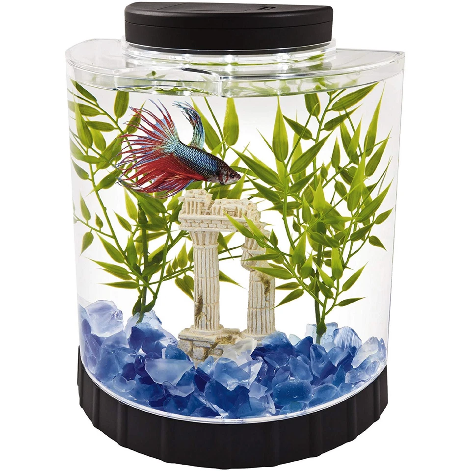 Tetra LED Half Moon Betta Aquarium Kit 1.1 Gallons