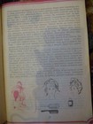 Picture 5 of 5