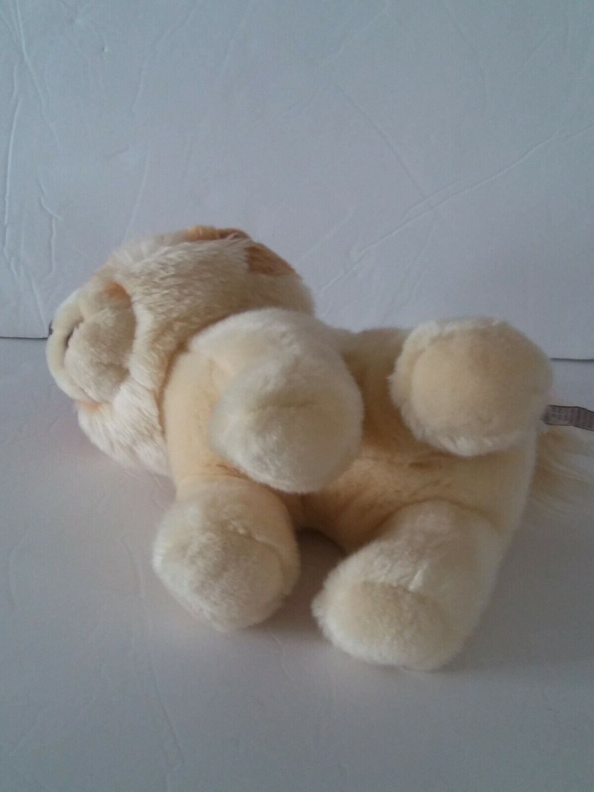 Bild 3 von 6