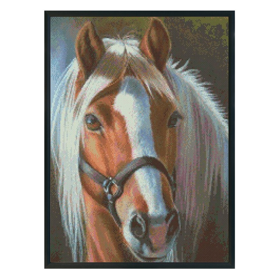 Counted Cross Stitch Kits horse Cotton Thread 11CT eBay