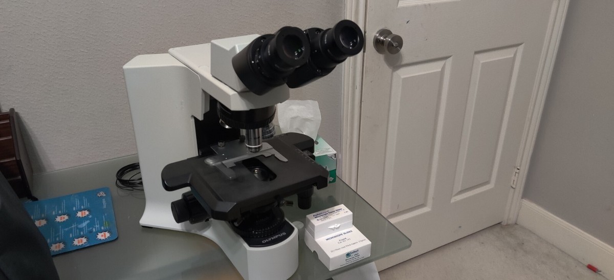 Olympus BX41 Biological Microscope for sale online | eBay Olympus BX41 Biological Microscope for sale online | eBay