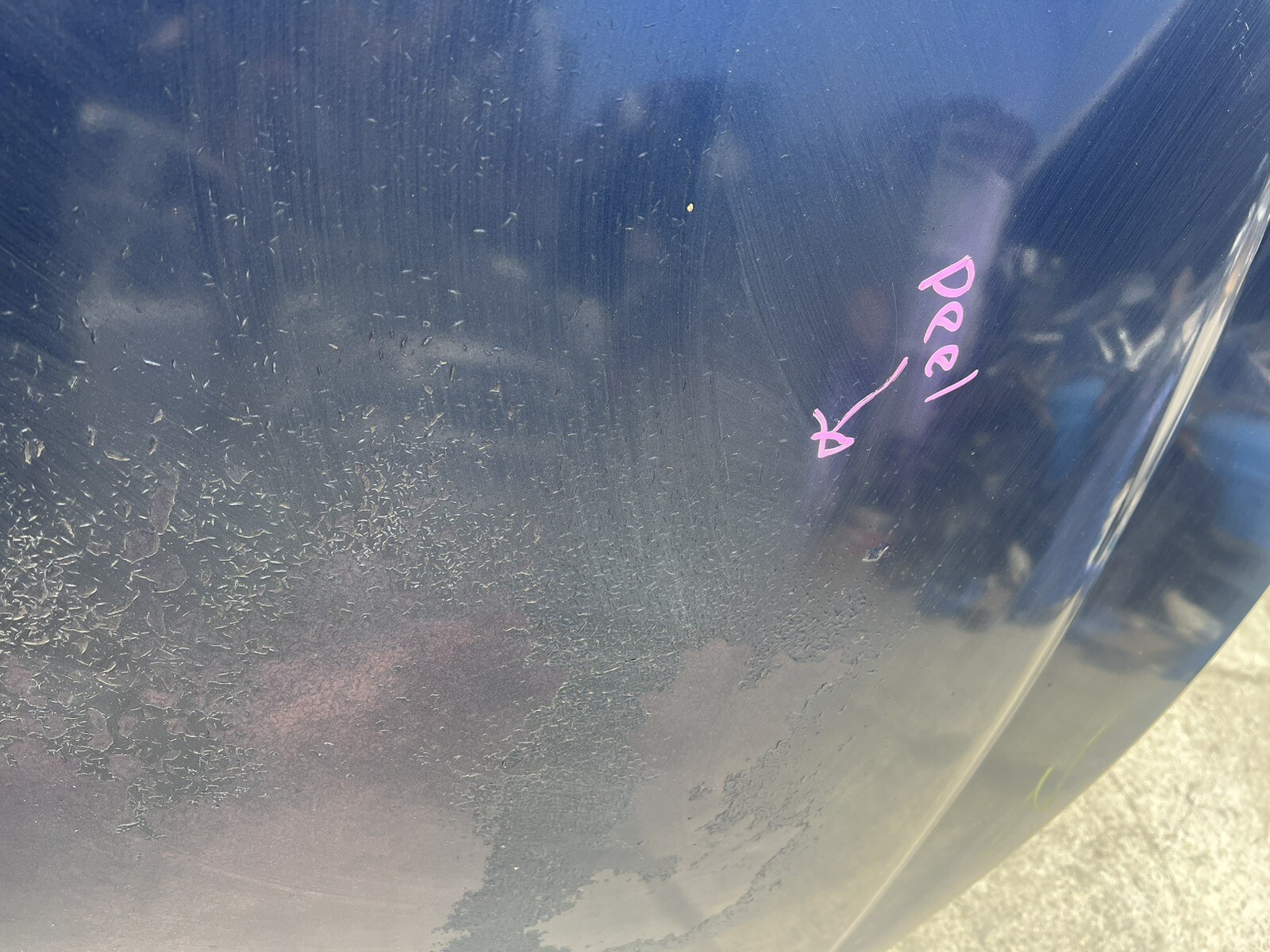 Maserati Coupe 4200 M138  Cambiocorsa Hood OEM 2004