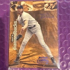 SKYBOX 1999 Thunder Randy Johnson Rant #250 Arizona Diamondbacks MLB Baseball