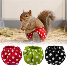 Squirrel Diapers Small Pet Training Pants Reusable Leak-proof Urine-Wet Pants