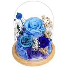 3-Tone Preserved Rose in Glass Dome with LED Lights - Eternal Roses Flower w/...