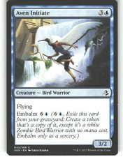 Aven Initiate - Amonkhet - MTG - Common - #43 - NM