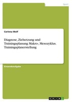 Diagnose, Zielsetzung Und Trainingsplanung Makro-, Mesozyklus. Trainingsplanerst