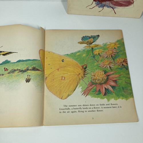 Lot Of 6 Insect Paperback Single Copies Children Homeschool Tutoring Classroom - Foto 17 di 21