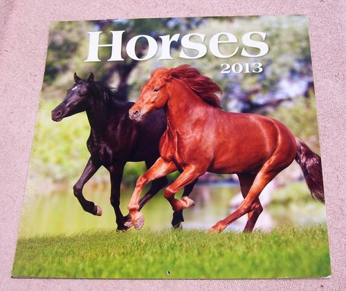 (2) 2013 Horses Wall Calendars - Picture 2 of 12