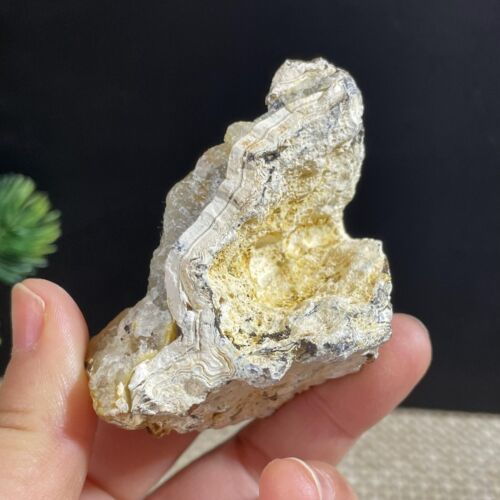 Beautiful ! Natural GoBi agate eye Agate Crystal Stone Specimen Healing 98g - Foto 8 di 8