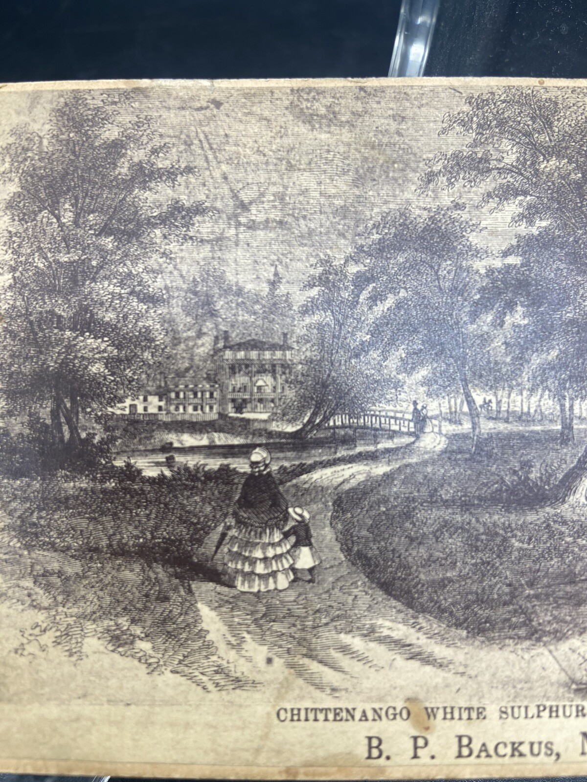 White Sulphur Spring Hotel and Cottages, Chittenango, New York B.P