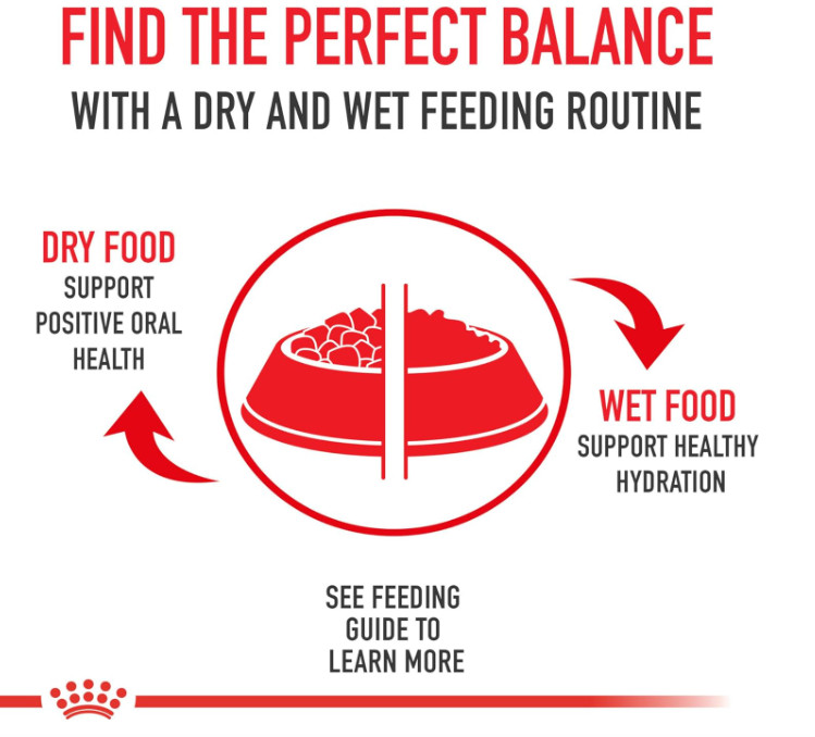 Royal Canin Size Health Nutrition Small Adult Dry Dog Food, 30-lb