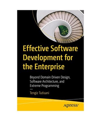 Effective Software Development for the Enterprise: Beyond Domain Driven Design, 