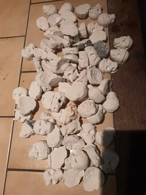großes konvolut Schädel aus GIPS - Bild 1 von 4