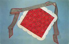 National Handcraft Institute Red Apron Craft Kit Des Moines Iowa 1960s Postcard