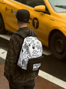 jansport x