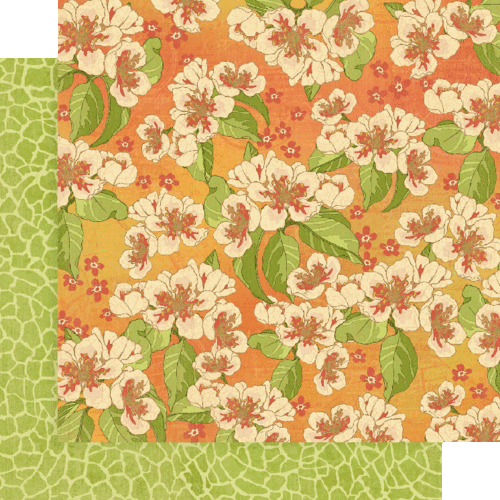 GRAPHIC 45 "TROPICAL TRAVELOGUE" 12X12 PAPER 12 PCS COMPLETE SET SCRAPJACK'S PL. - Picture 9 of 12