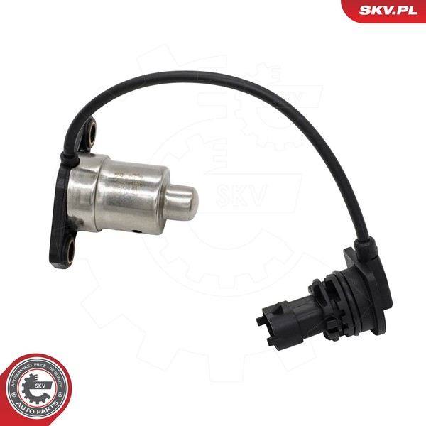 Esen Skv Sensor, MotoröLstand 17SKV924 FüR Opel-image